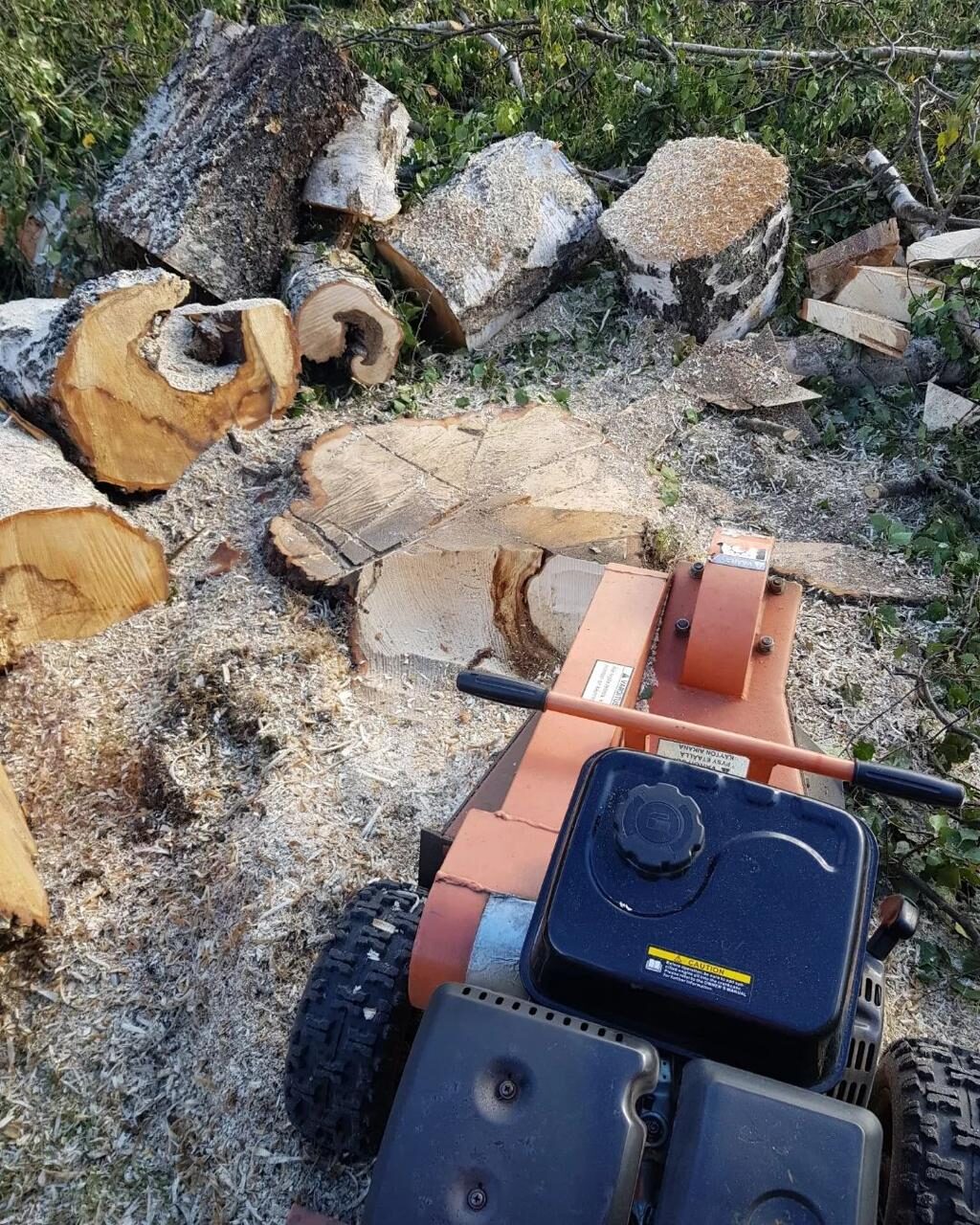 Bortforsling av stubb och virke Gävle